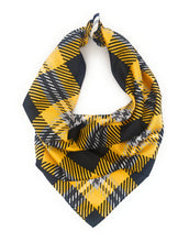 Load image into Gallery viewer, FHSU Handkerchief Scarf