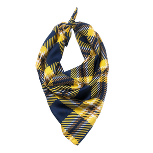 Cal Handkerchief Scarf