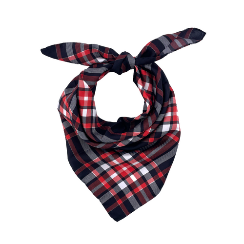 Cincinnati Handkerchief Scarf