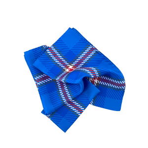 DePaul Handkerchief Scarf