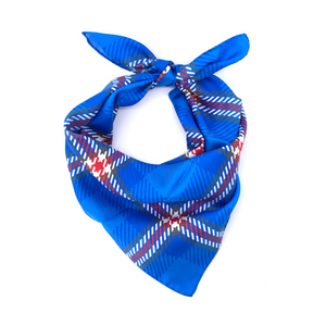 DePaul Handkerchief Scarf