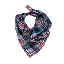 Load image into Gallery viewer, Howard Handkerchief Scarf