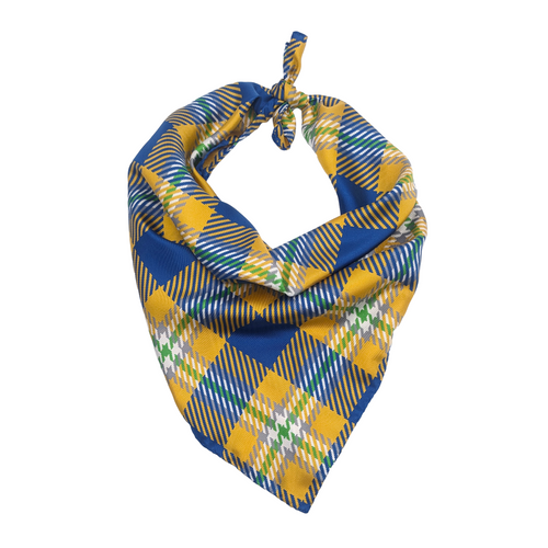 Johnson & Wales Handkerchief Scarf