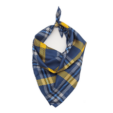 Load image into Gallery viewer, Lycoming Handkerchief Scarf