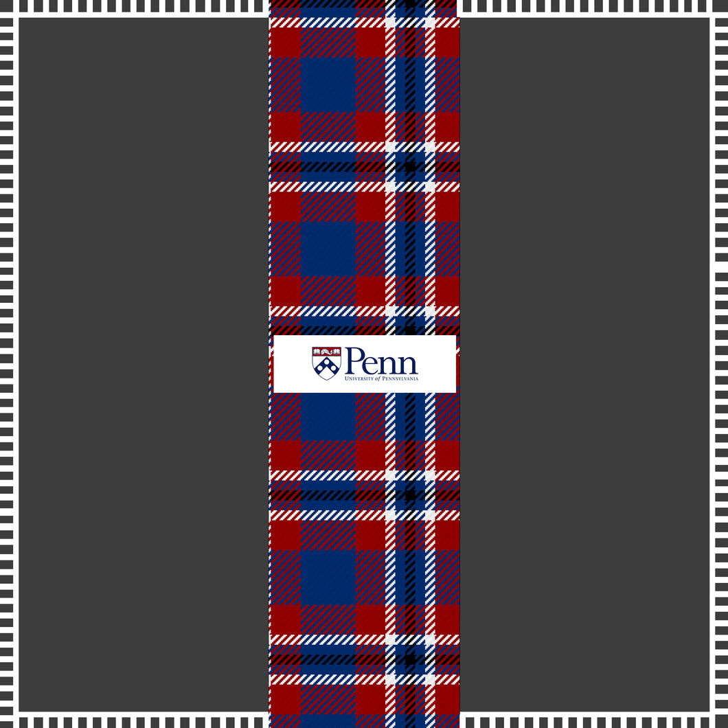 Penn Pillow Cover