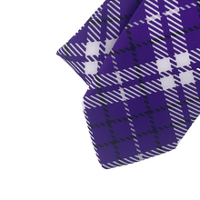 Load image into Gallery viewer, TCU Tie