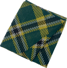 Load image into Gallery viewer, Wayne State Fashion Scarf